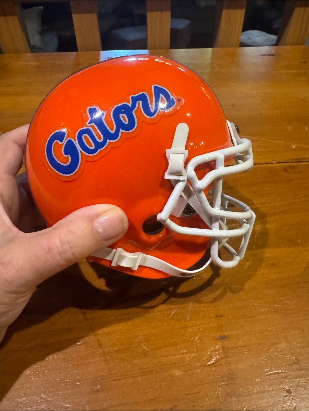 FLORIDA GATORS Mini Helmet